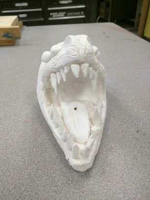 clay snake head